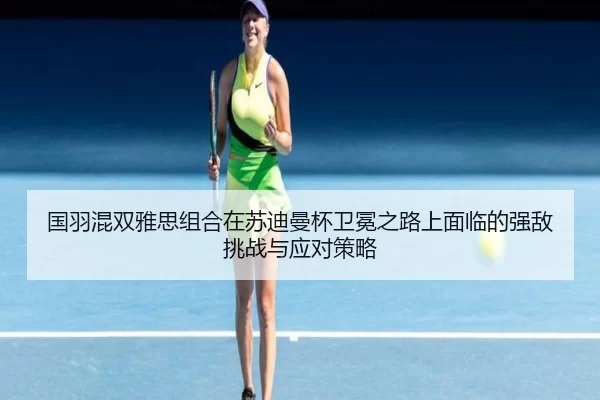 guo-yu-hun-shuang-ya-si-zu-he-zai-su-di-man-bei-wei-mian-zhi-lu-shang-mian-lin-de-qiang-di-tiao-zhan-yu-ying-dui-ce-lve-2-575.jpg