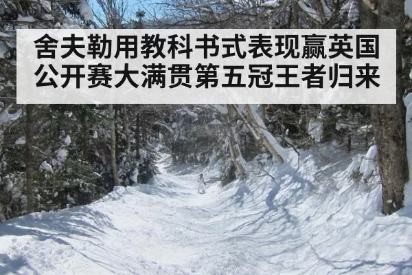舍夫勒用教科书式表现赢英国公开赛大满贯第五冠王者归来