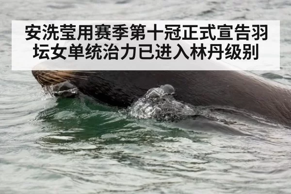 安洗莹用赛季第十冠正式宣告羽坛女单统治力已进入林丹级别